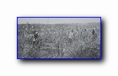 [Click to enlarge]
